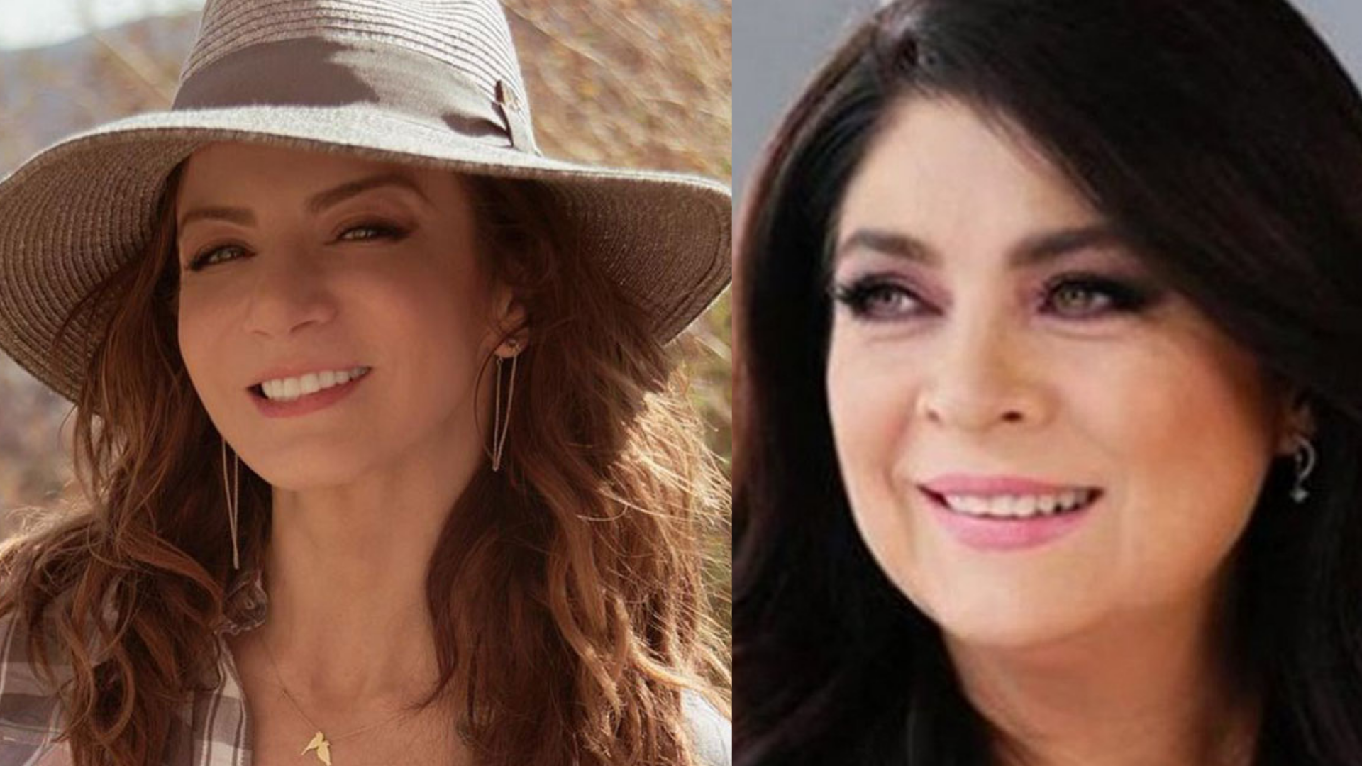 ¿Quién de estas dos actrices de telenovelas merece ganar el especial con fans a su trayectoria: Victoria Ruffo o Silvia Navarro ? ¡Vota por tu favorita hasta el 27 de marzo!